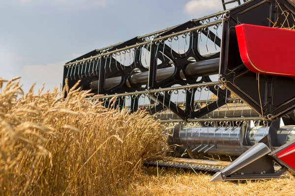 Combina la mietitrice da vicino. Combina la mietitrebbia raccogliendo grano. Raccolta del grano si combinano. Combina la raccolta del grano. Campo di grano cielo blu. Vista ravvicinata della combinazione . — Foto Stock