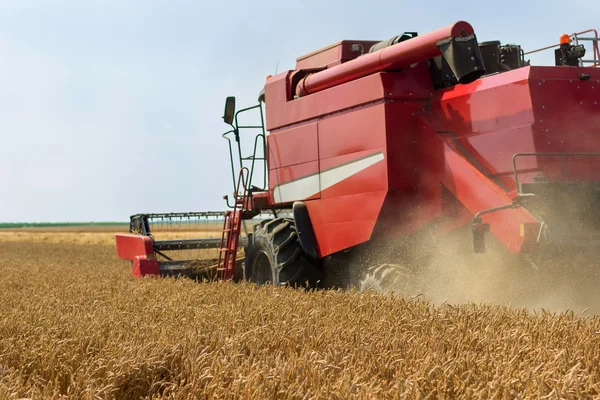 Combine harvester harvesting wheat. Grain harvesting combine. Combine harvesting wheat. Wheat field blue sky. — Stock Photo, Image