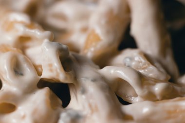 Mavi peynir makarna Penne kapatın. Mavi peynir sosu. Seçici odak ve sığ derinlik-in tarla