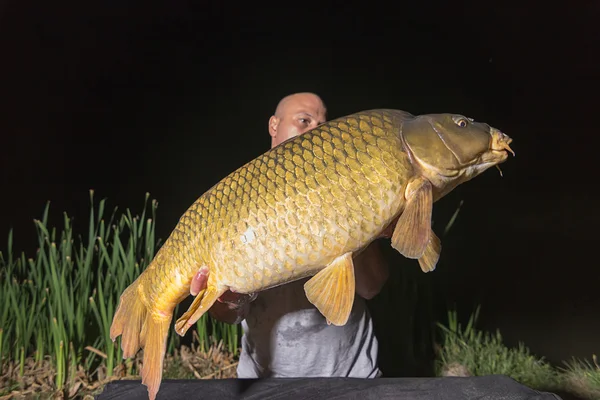 Pescador com carpa troféu de pesca Carpa e Pescador, Carpa troféu de pesca Carpa troféu de pesca Noite Pesca — Fotografia de Stock