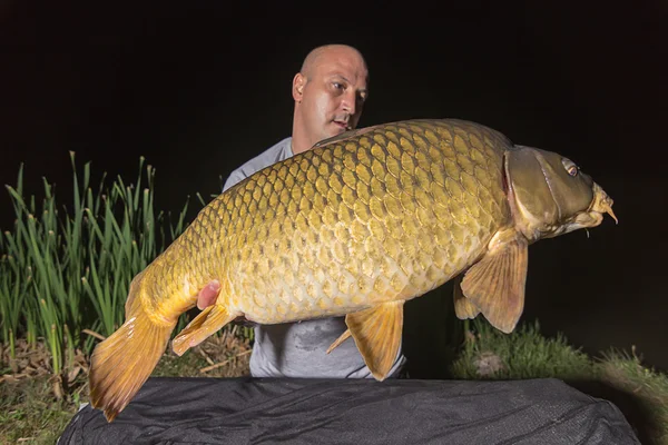 Pescador com carpa troféu de pesca Carpa e Pescador, Carpa troféu de pesca Carpa troféu de pesca Noite Pesca — Fotografia de Stock