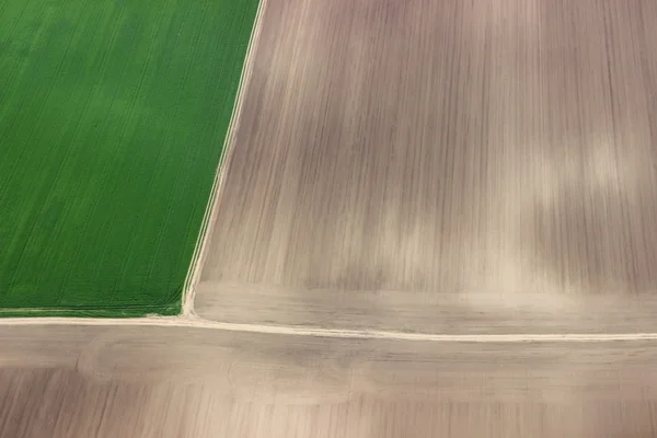 Fields from the air. Fields aerial photo. Aerial photography of green fields. Green fields aerial view. — Stock Photo, Image