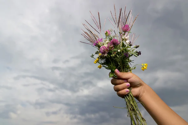 在夏季多云的天空背景下, 孩子们的手拿着一束枯萎的花。孩子们手与野花花束. — 图库照片