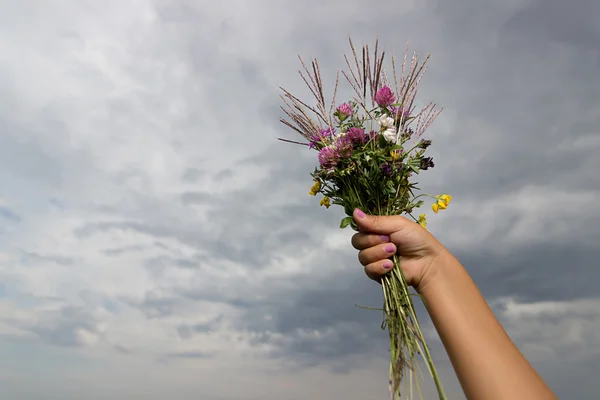 Children\'s hand holds a bouquet of wiled flowers on background of cloudy sky in summer. Children hand with wild flowers bouquet.