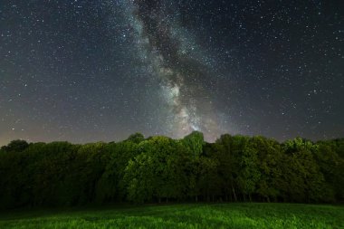 Samanyolu ağaçlar üzerinde. Samanyolu.