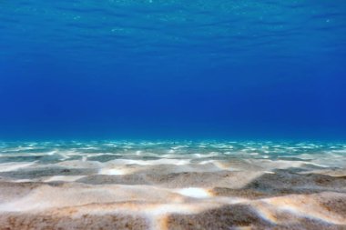 Kumlu deniz dibi Su altı arka planı