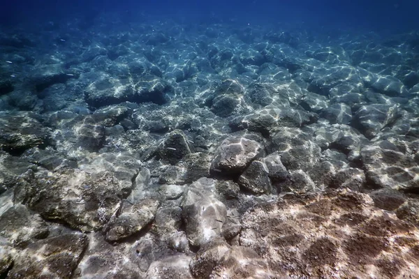 Meeresleben Unterwasser Felsen Sonnenlicht Unterwasser Leben — Stockfoto