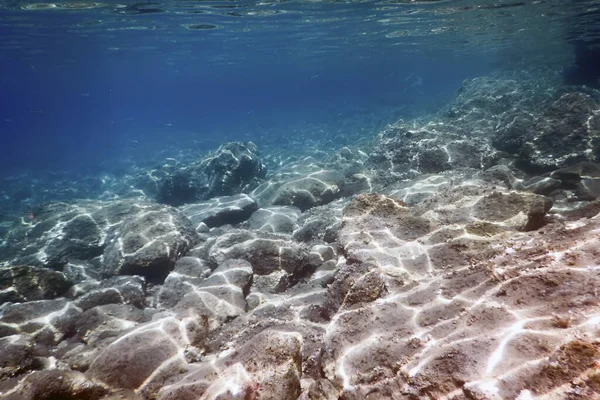 Meeresleben Unterwasser Felsen Sonnenlicht Unterwasser Leben — Stockfoto