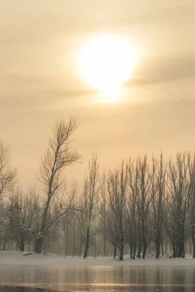 Bevroren Meer Bos Winter Zon Winter Zon Landschap — Stockfoto