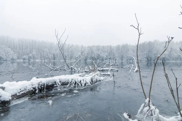 Змерзле Озеро Взимку Озері Відбивається Воді — стокове фото