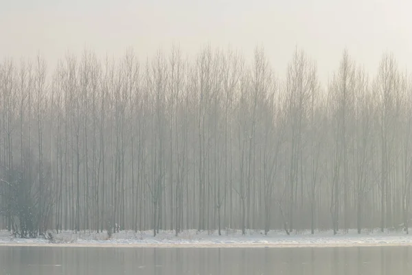 Zugefrorener See Wald Wintersonne Wintersonnenlandschaft — Stockfoto