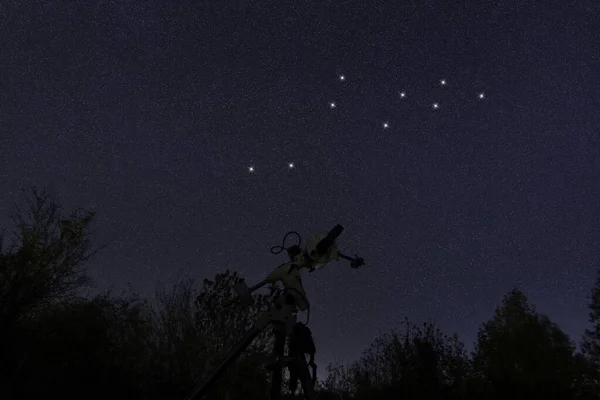 Constelación Estrellas Lacerta Cielo Nocturno Racimo Estrellas Espacio Profundo Constelación —  Fotos de Stock