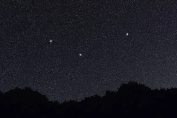Constelación Estrellas Fornax Cielo Nocturno Racimo Estrellas Espacio Profundo Constelación —  Fotos de Stock