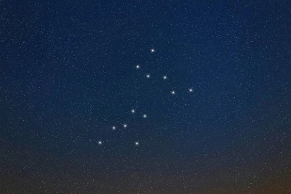 Canis Major Constelación Estrellas Cielo Nocturno Racimo Estrellas Espacio Profundo — Foto de Stock