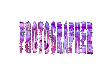 Fotoğraf kelimesi, Banner, Poster ve Etiket, kırpma yolu ile