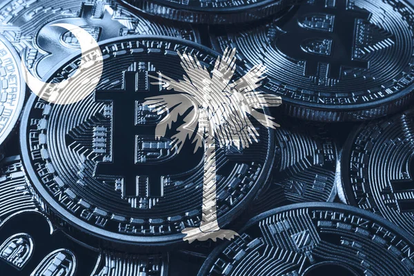 South Carolina bitcoin flag, South Carolina cryptocurrency concept background