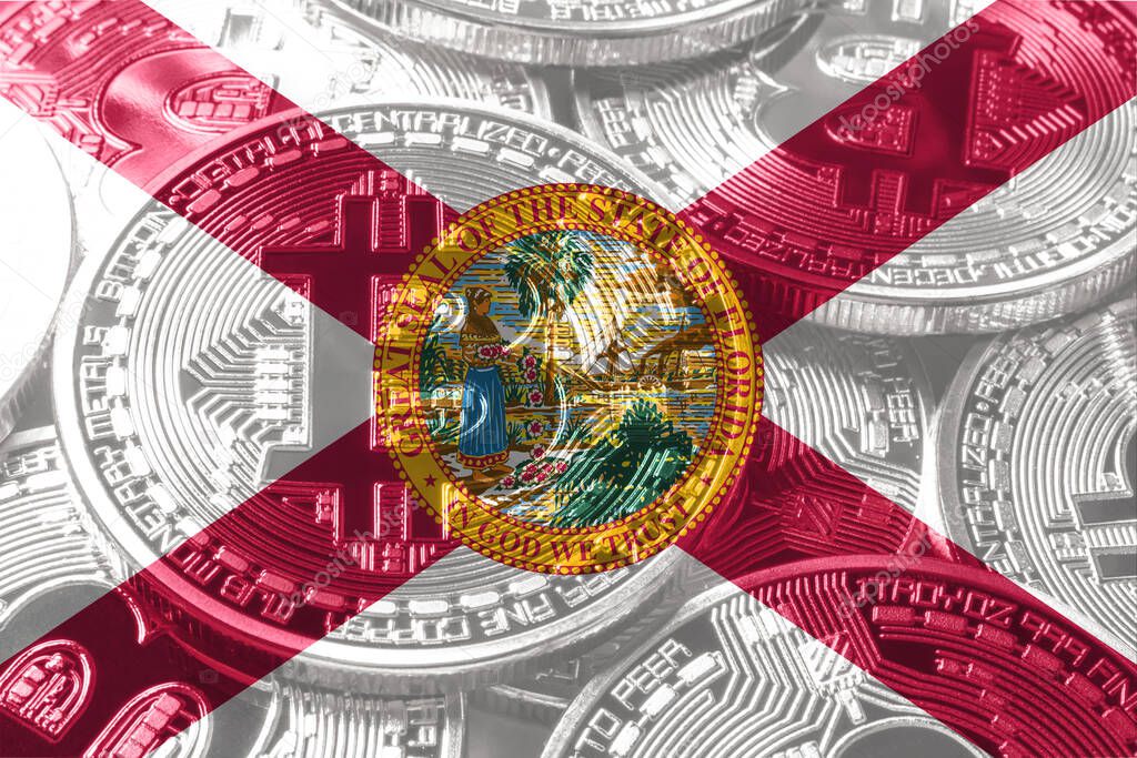 Florida bitcoin flag, Florida cryptocurrency concept background