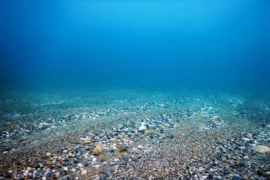 Deniz tabanında Su Altında Kayalar ve Çakıl Taşları