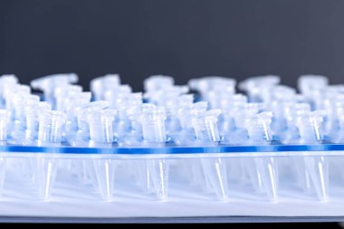 Bilim Plastik Test Santrifüj Tüpleri