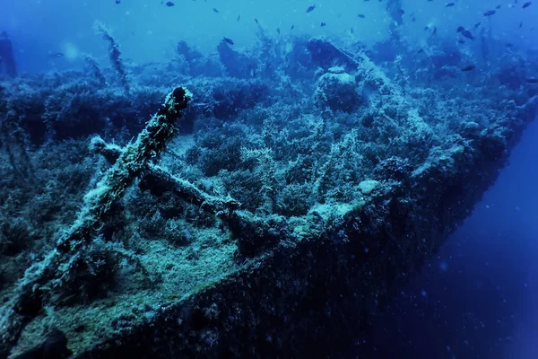 難破船の野生生物 水中世界の野生生物 — ストック写真