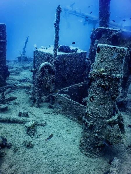 Wildlife Ship Wreck Underwater World Wildlife — Stock Photo, Image