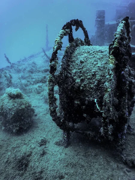 Дика Природа Корабля Розбита Підводний Світ Дикої Природи — стокове фото