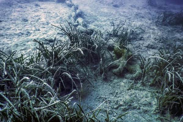 Starý Kotevní Řetěz Dně Moře Pod Vodou — Stock fotografie