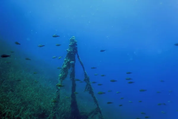 Ztroskotání Modré Vodě Rusty Shipwreck Growing Corals Podvodní Potopená Loď — Stock fotografie