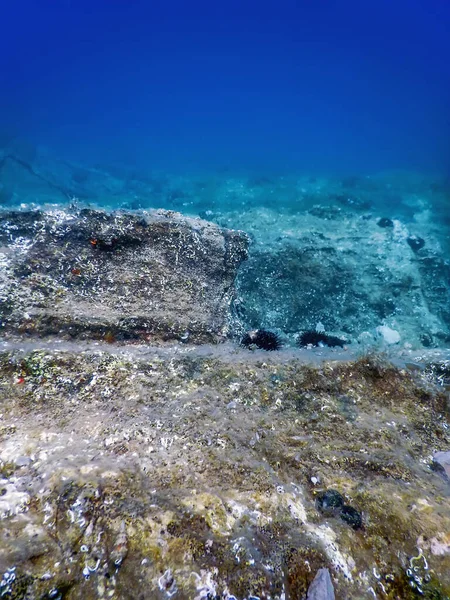 Θαλάσσια Ζωή Υποβρύχια Βράχια Sunlight Υποβρύχια Ζωή Άγρια Ζωή — Φωτογραφία Αρχείου