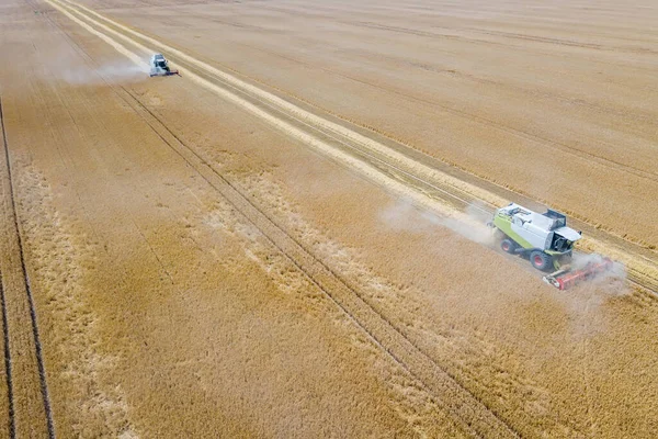 Combine harvester working on a wheat field. Combine harvester Aerial view.