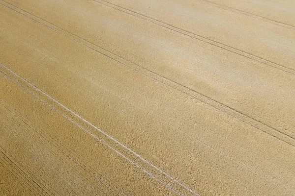 Fläche Ansicht Der Getreidefelder Sonnigen Sommertagen Weizenernte — Stockfoto