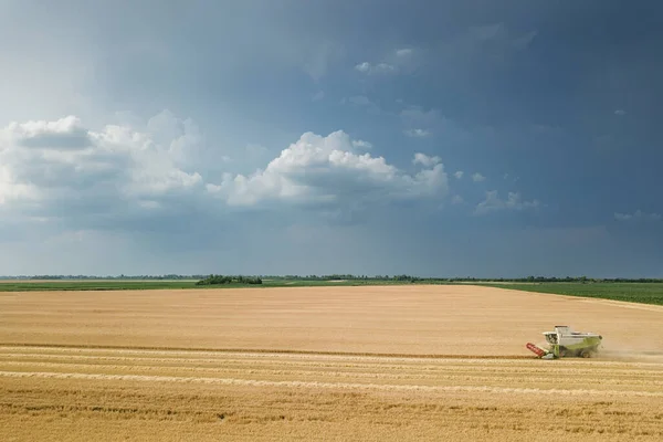 Комбайн Працює Пшеничному Полі Комбайн Збирання Врожаю Вид Повітря — стокове фото