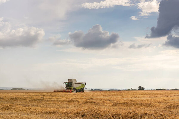 Комбайн, работающий на пшеничном поле. Сбор пшеницы.