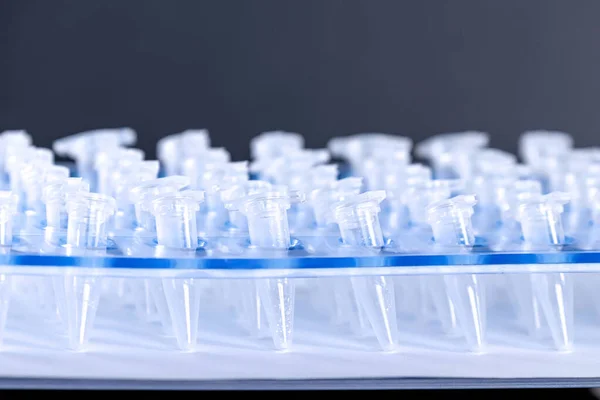 Tubos Centrífuga Teste Plástico Ciência — Fotografia de Stock