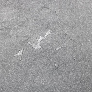 Fransız Polinezyası haritası, gümüş arkaplan, harita arkaplan