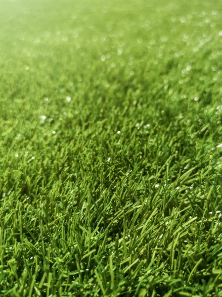 Artificial Green Grass Green Grass Grass Background Texture — Stock Photo, Image
