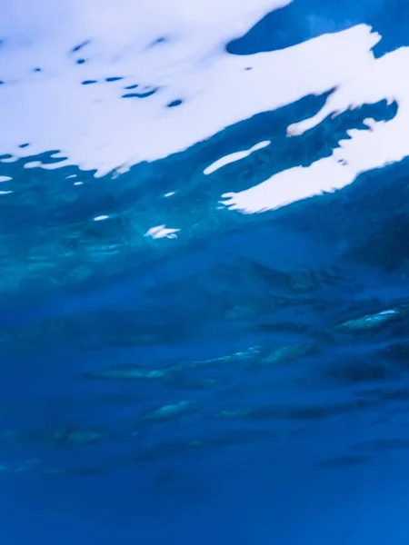 Подводный Вид Поверхность Моря Подводный Фон — стоковое фото