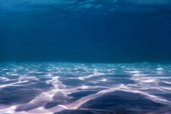 Sandboden Meereslebewesen Unterwasserhintergrund — Stockfoto