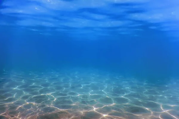 Sandboden Meereslebewesen Unterwasserhintergrund — Stockfoto