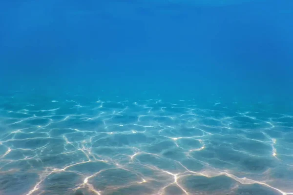 Sandy Sea Bottom Marine Life Underwater Background — Stock Photo, Image