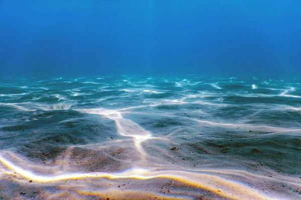 Sandboden Meereslebewesen Unterwasserhintergrund — Stockfoto