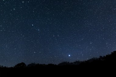 Beautiful night sky Beautiful Star Field with diffraction spikes Jupiter Venus Constellations Auriga Camelopardalis Lynx Gemini Canis Minor Monoceros Leo Leo minor Cancer Perseus clipart