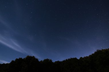 Büyük Ayı takımyıldızı, küçük ayı, Draco ile güzel bir gece gökyüzü