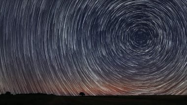 Güzel sarmal Star yollar üzerinde yalnız ağaç ile eğe. Güzel bir gece gökyüzü.