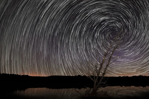 Beautiful Star Trails over Lake, with reflection, with old tree. Beautiful night sky. — Stock Photo, Image