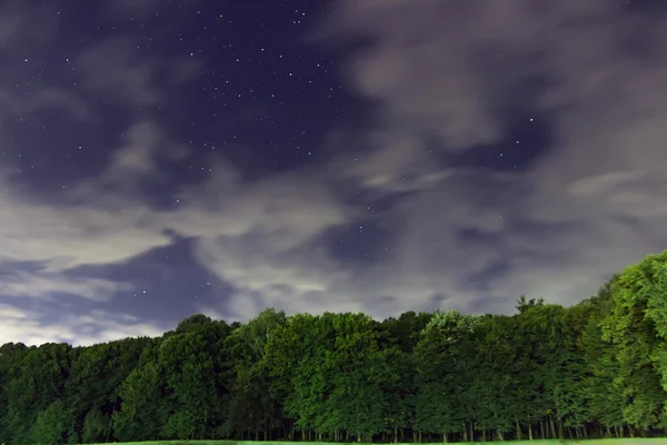 Noite Estrelada,. Nuvens brancas, muitas estrelas, floresta verde. A borda da floresta. Céu noturno bonito . — Fotografia de Stock