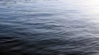 Parlak mavi Tuna Nehri su yüzeyi
