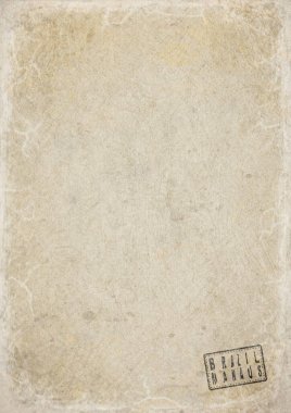 Brezilya Manaus Eskimiş Kağıt Üzerine Boş Hükümet Belgesi