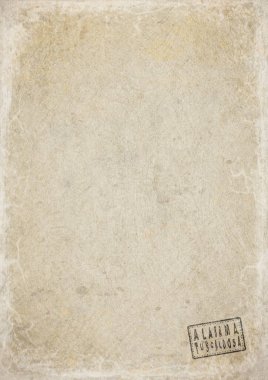 Alabama Tuscaloosa Yıpranmış Kağıt Üzerine Hükümet Belgesi