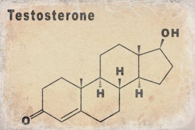 Beyaz zemin üzerinde testosteron hormonu yapısal kimyasal formülü